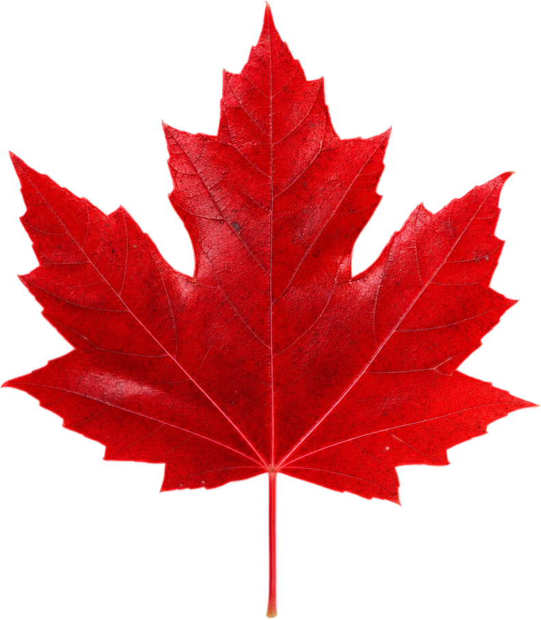 Bright Red Maple Leaf object preview