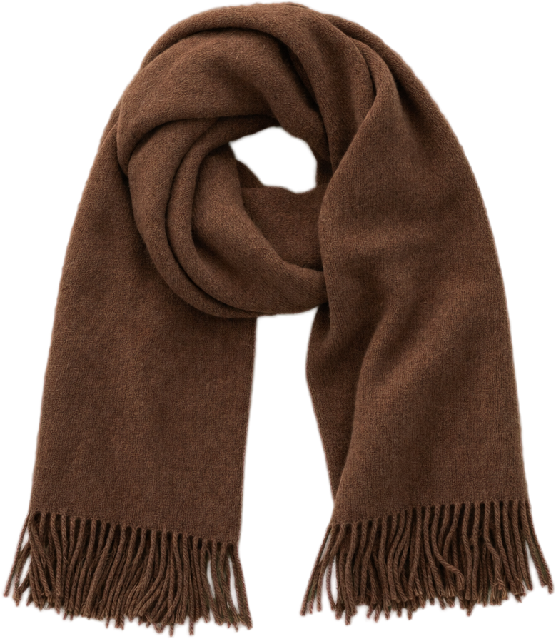 Brown Woven Fringe Scarf object preview
