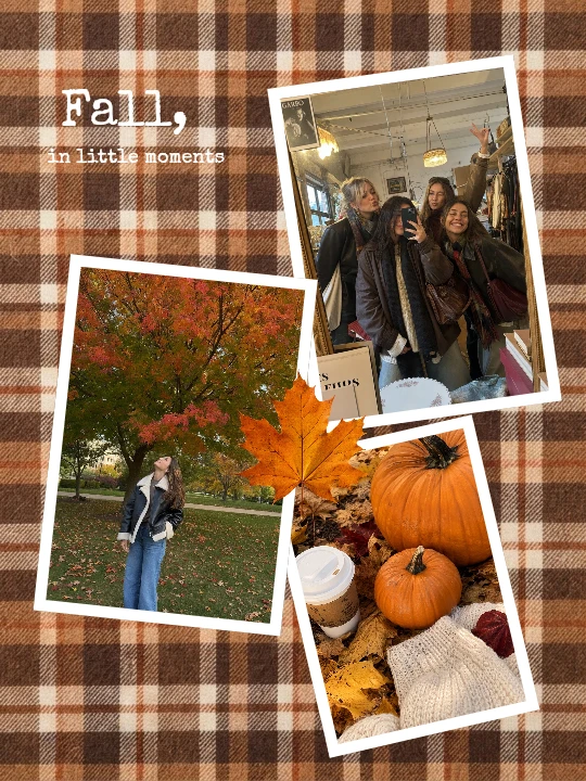 autumn collage template preview