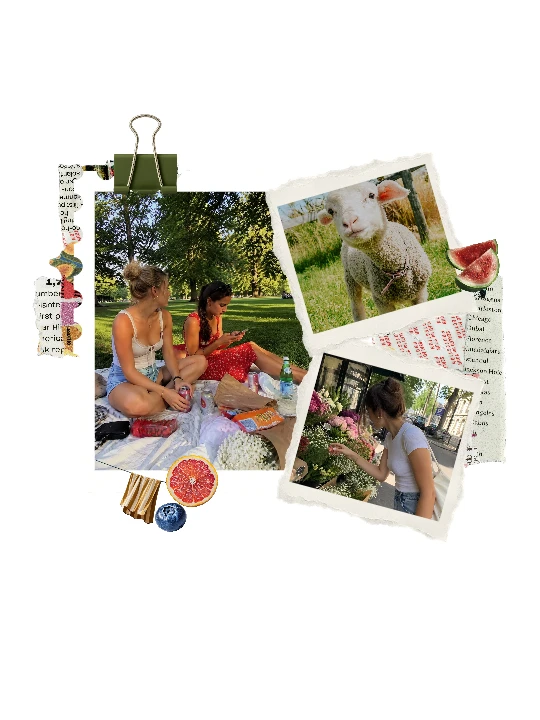 Country house collage template preview