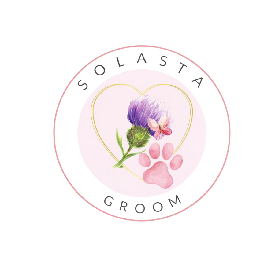 Solasta Pets 