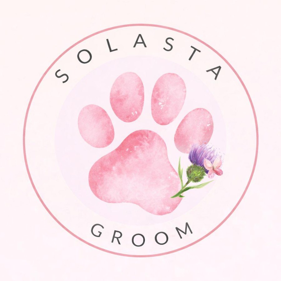 Solasta Pets