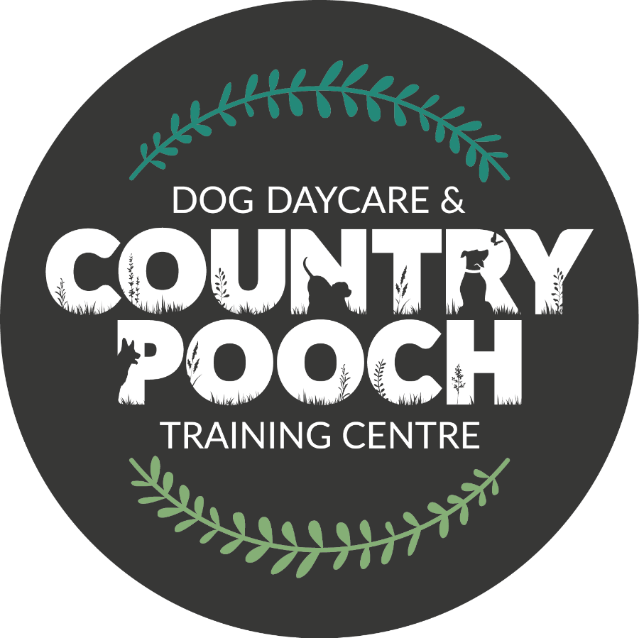 Country Pooch Daycare