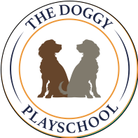 The Doggy Playschool
