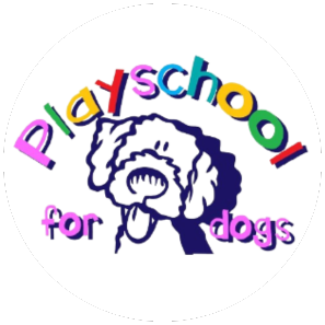 Playschool for Dogs Grooming