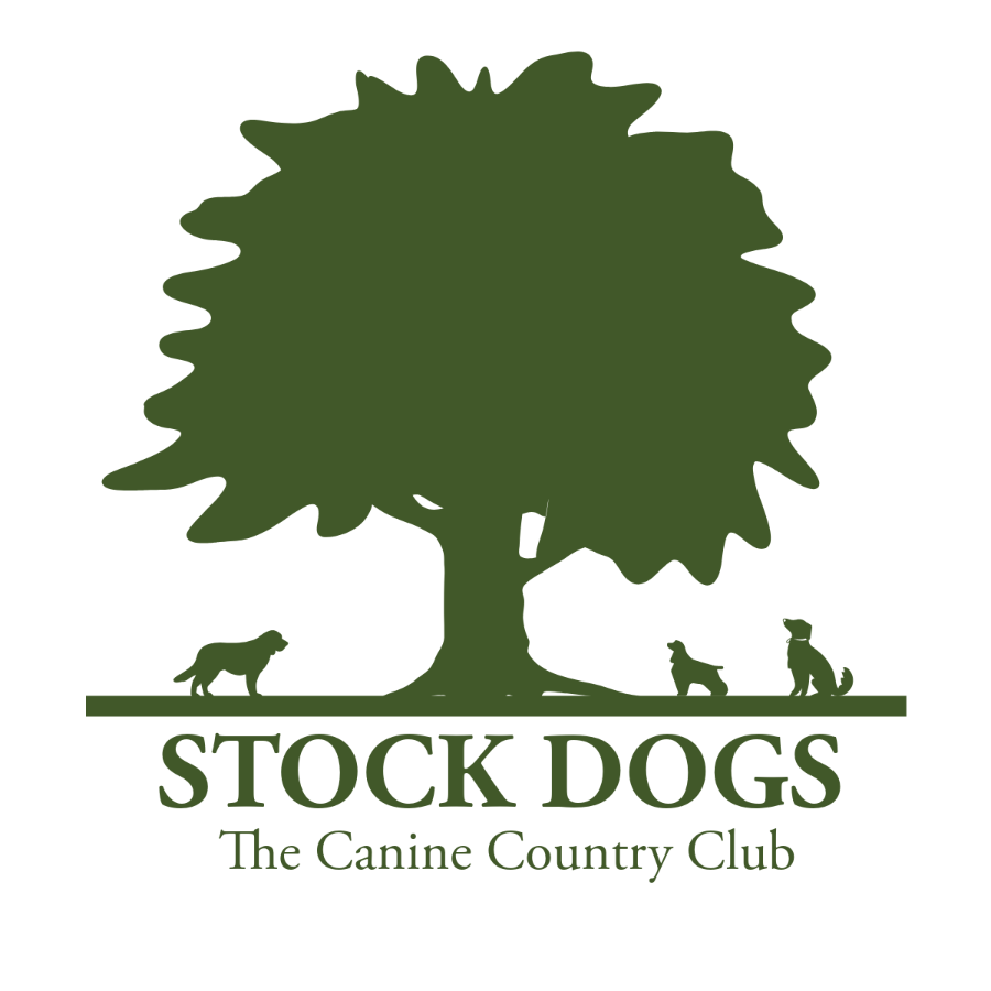 Stock Dogs LTD