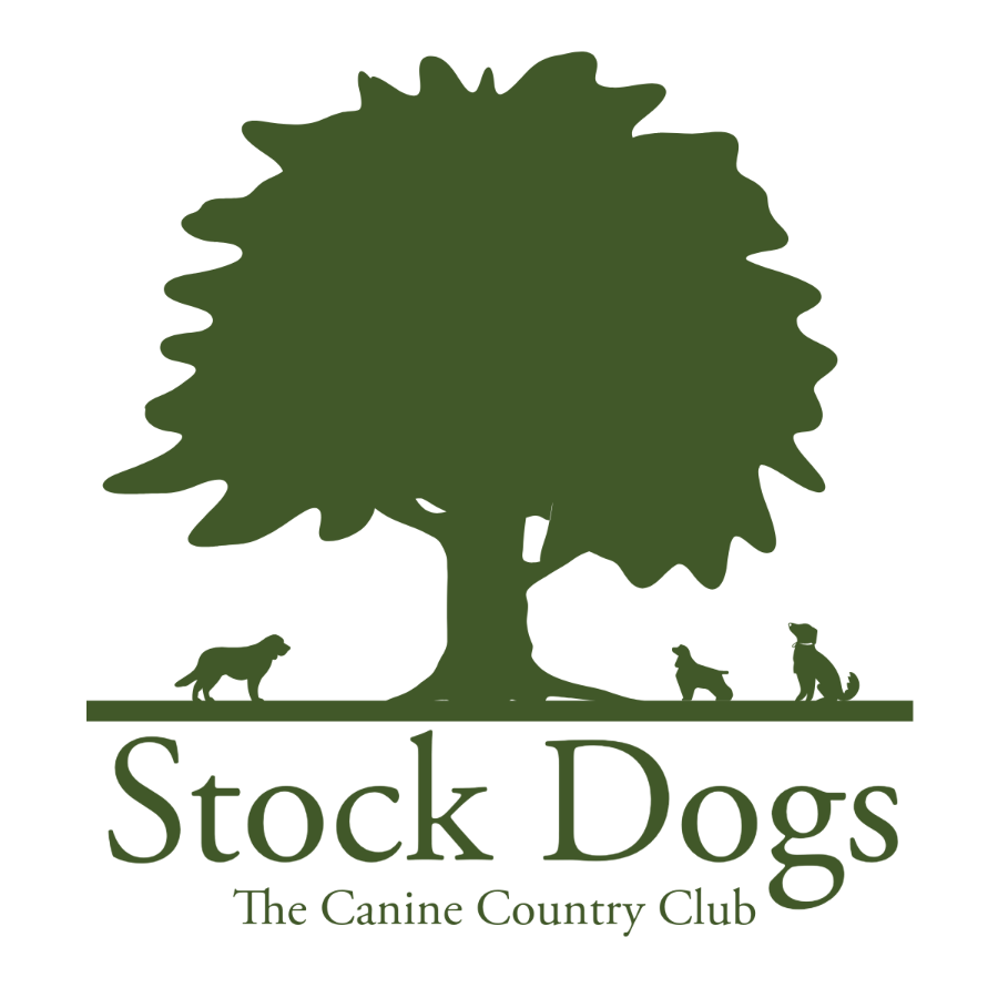 Stock Dogs LTD