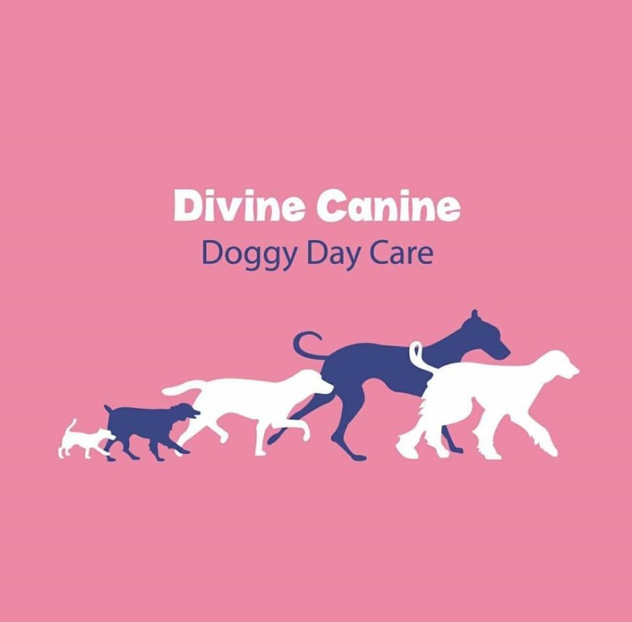 Divine Canine doggy daycare