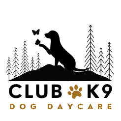 Club K9