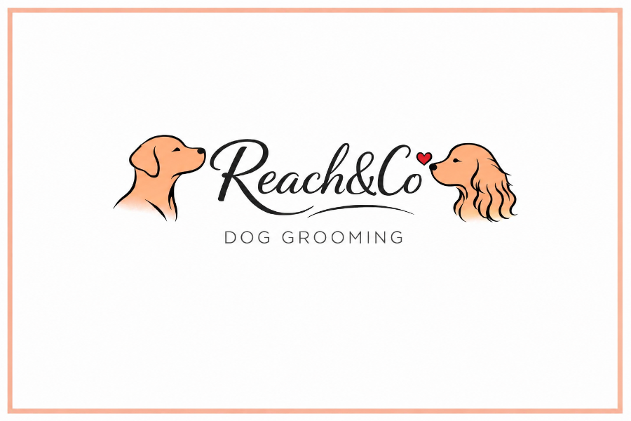 G-Unit Dog Grooming & Daycare