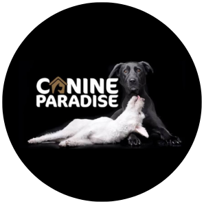 Canine Paradise