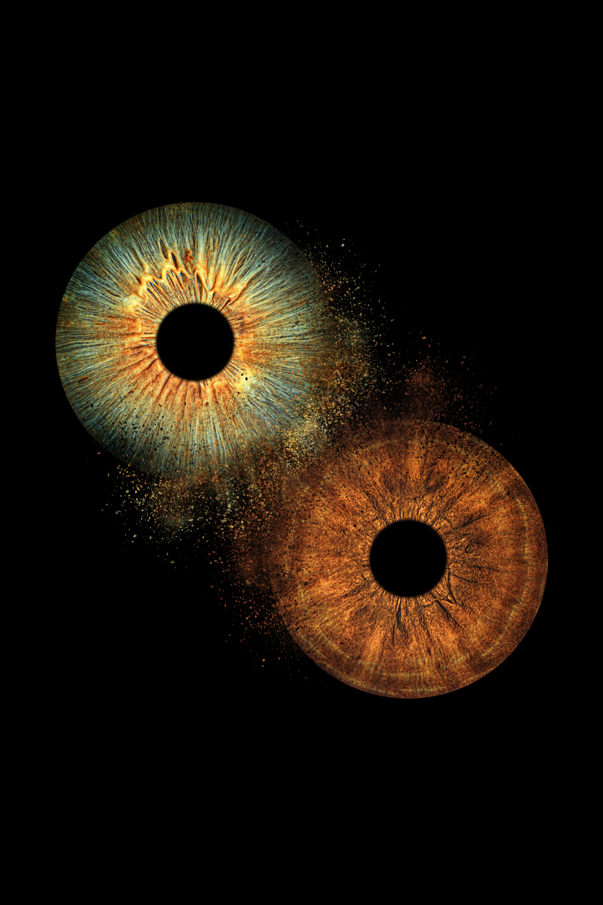 2 irises - Big Bang effect
