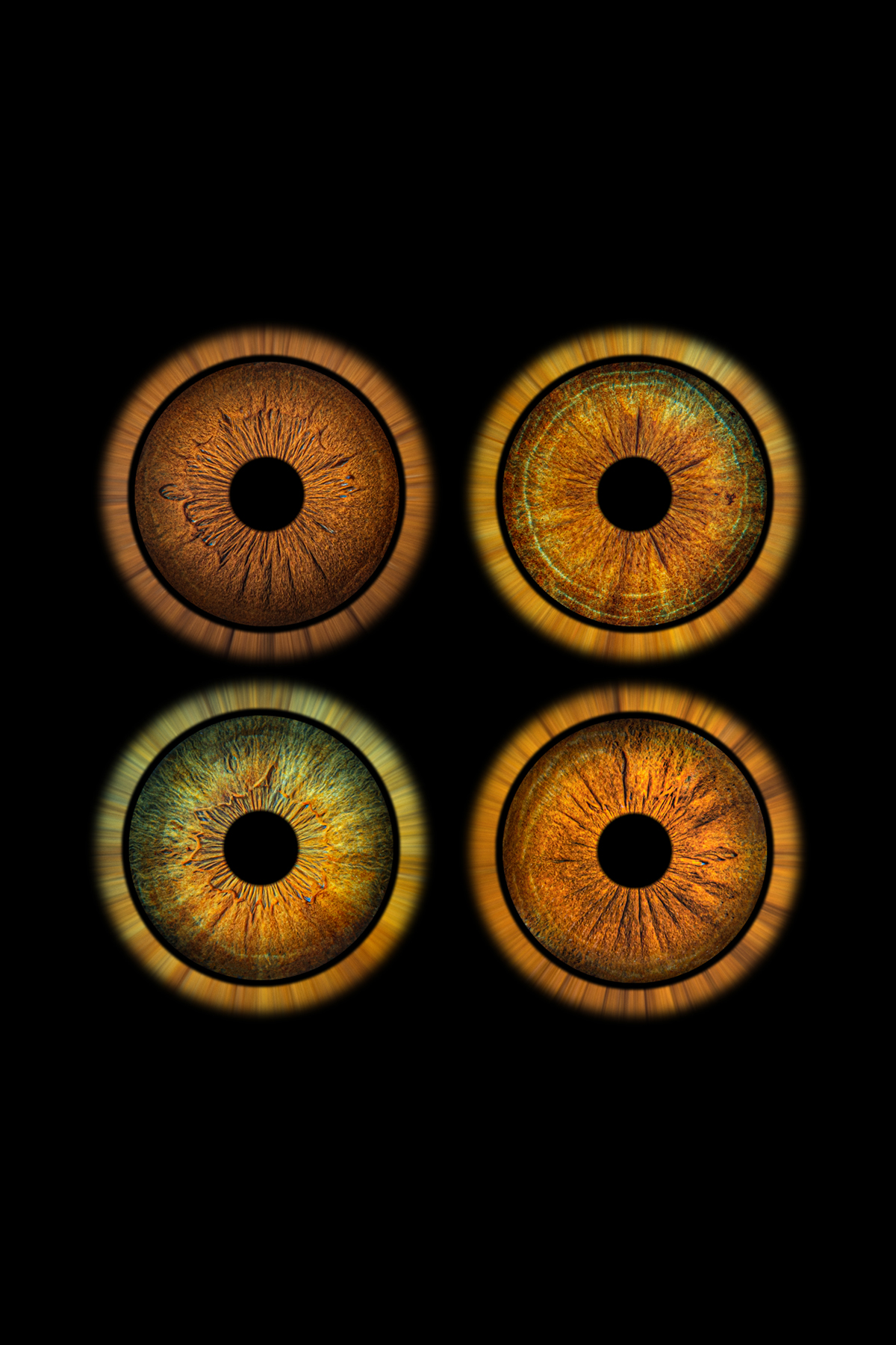 4 irises - Orbital effect