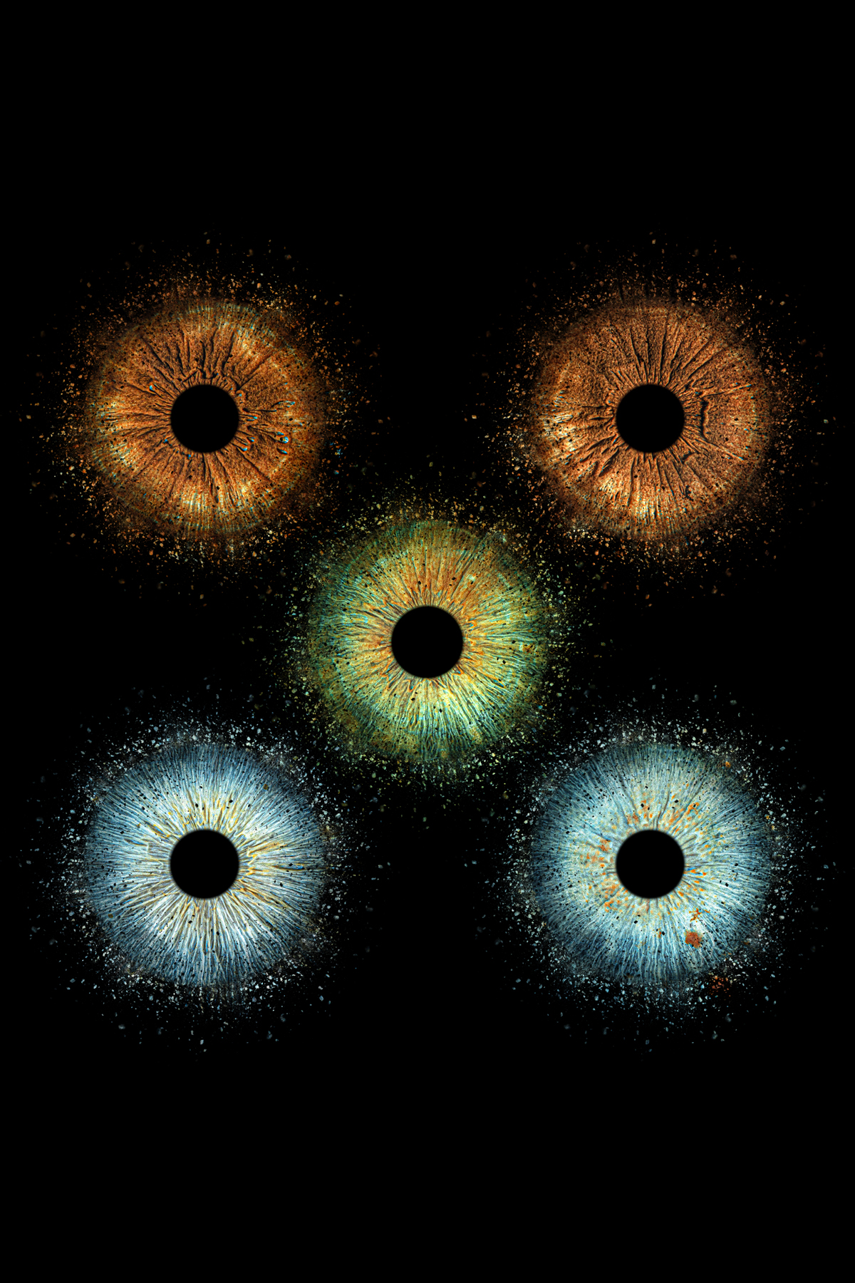 5 irises - Stars effect