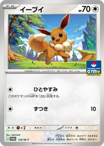 Eevee PROMO 134/M-P — 1 / 1
