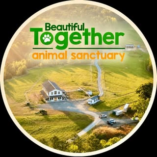 Beautiful Together Sanctuary