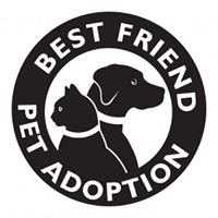 Bestfriends Pet Adoptions