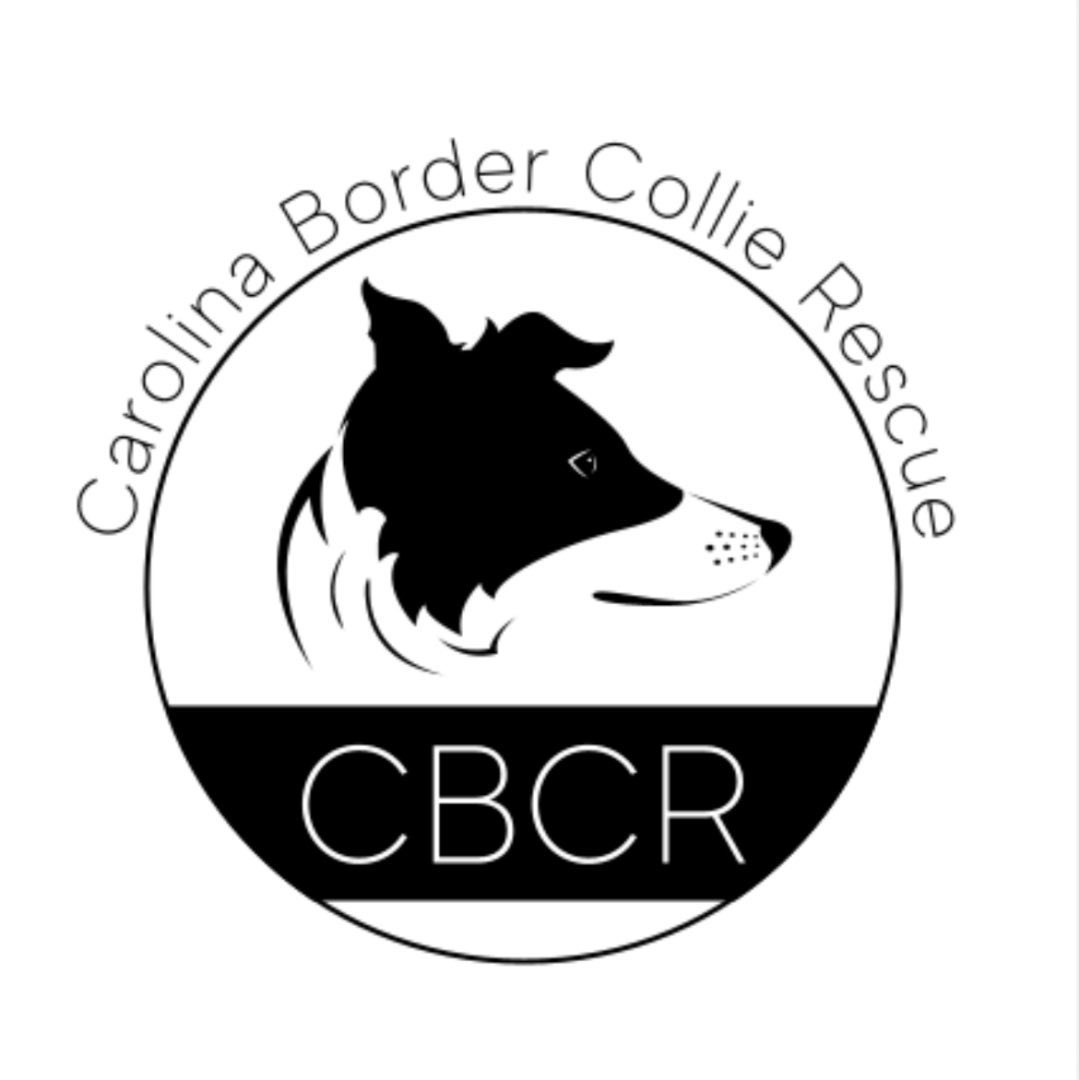 Carolina Border Collie Rescue