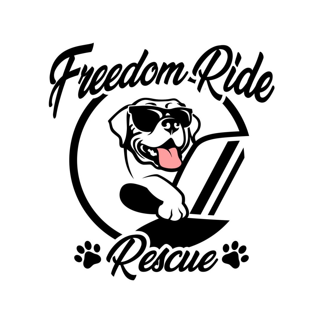 Freedom Ride Rescue
