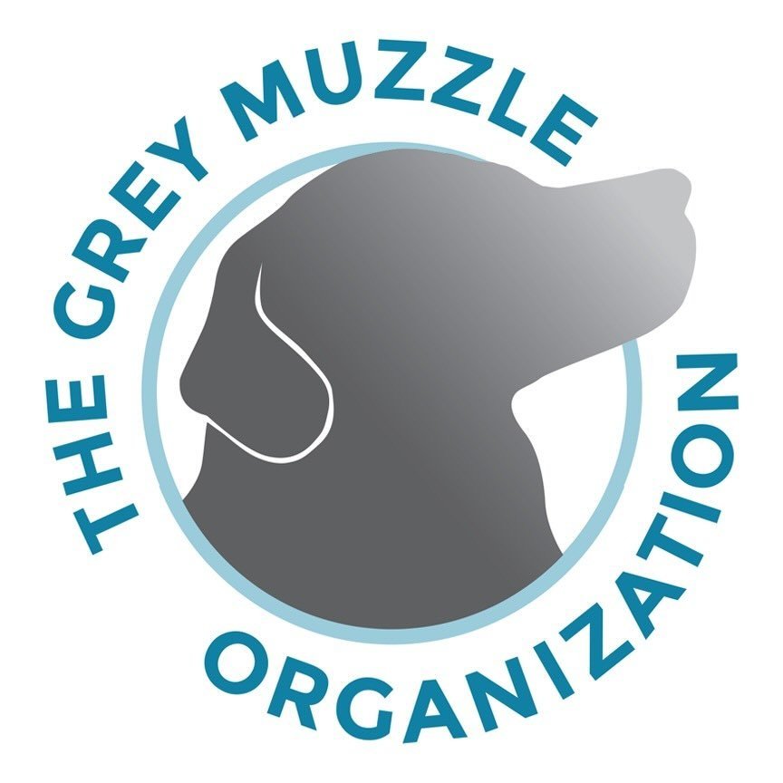 Grey Muzzle