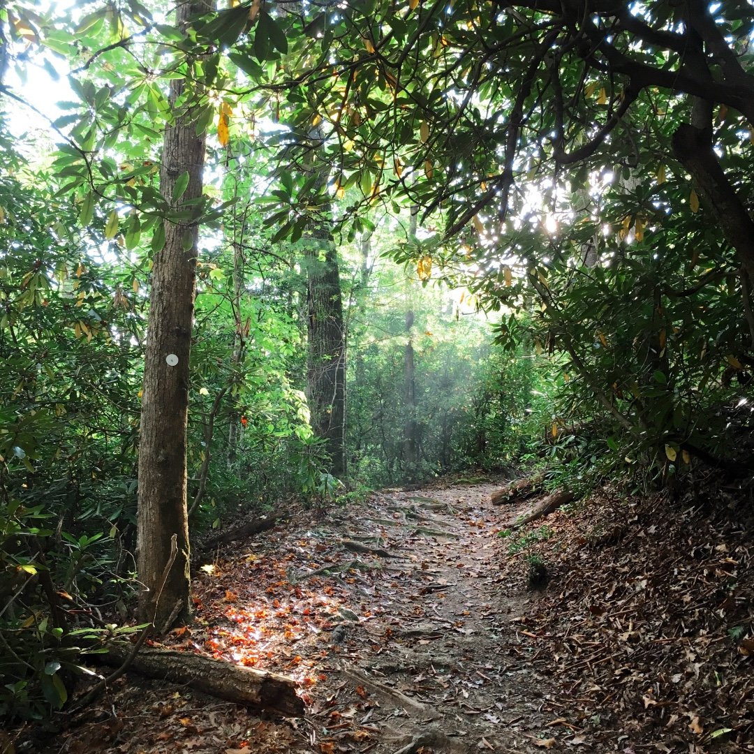 Mountains-to-Sea Trail