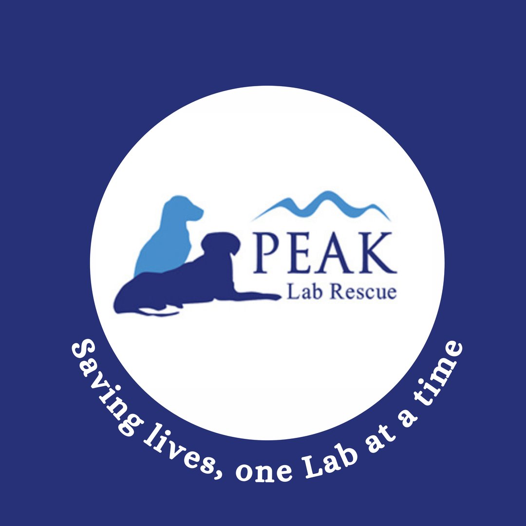 Peak Lab Rescue