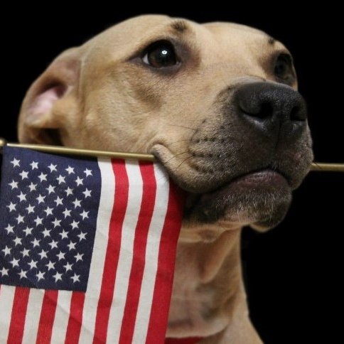 Vets to Vets United