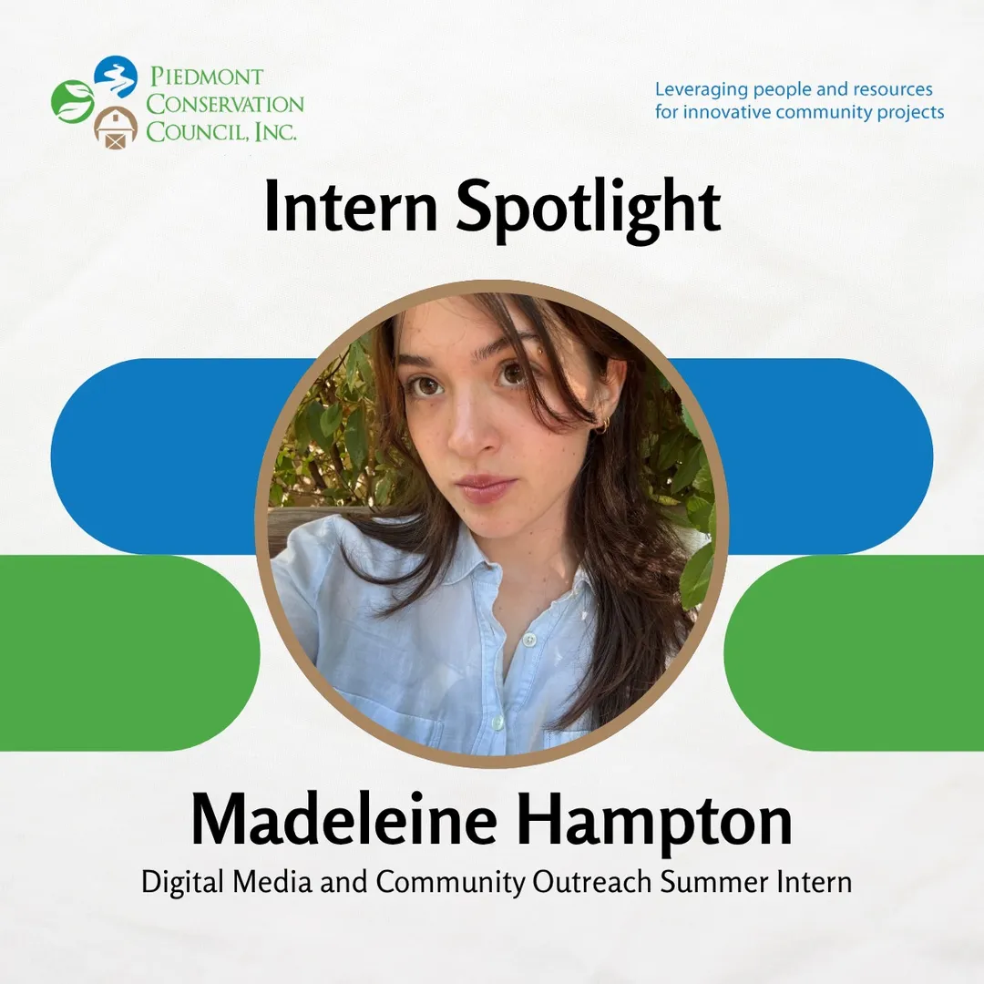 Madeleine Hampton