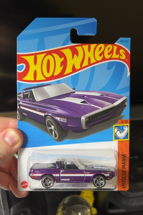 69 Shelby GT-500