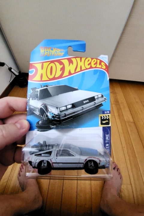 Back to the future time machine - hover mode