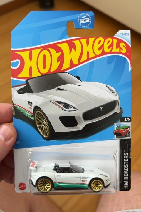 15 Jaguar F-Type Project 7