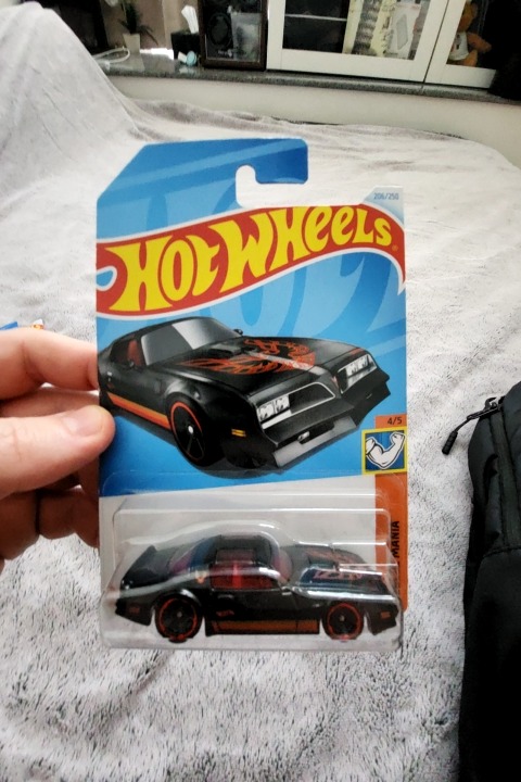 77 Pontiac Firebird T/A