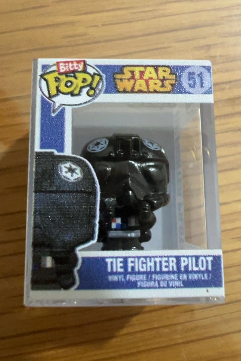 The Fighter Pilot