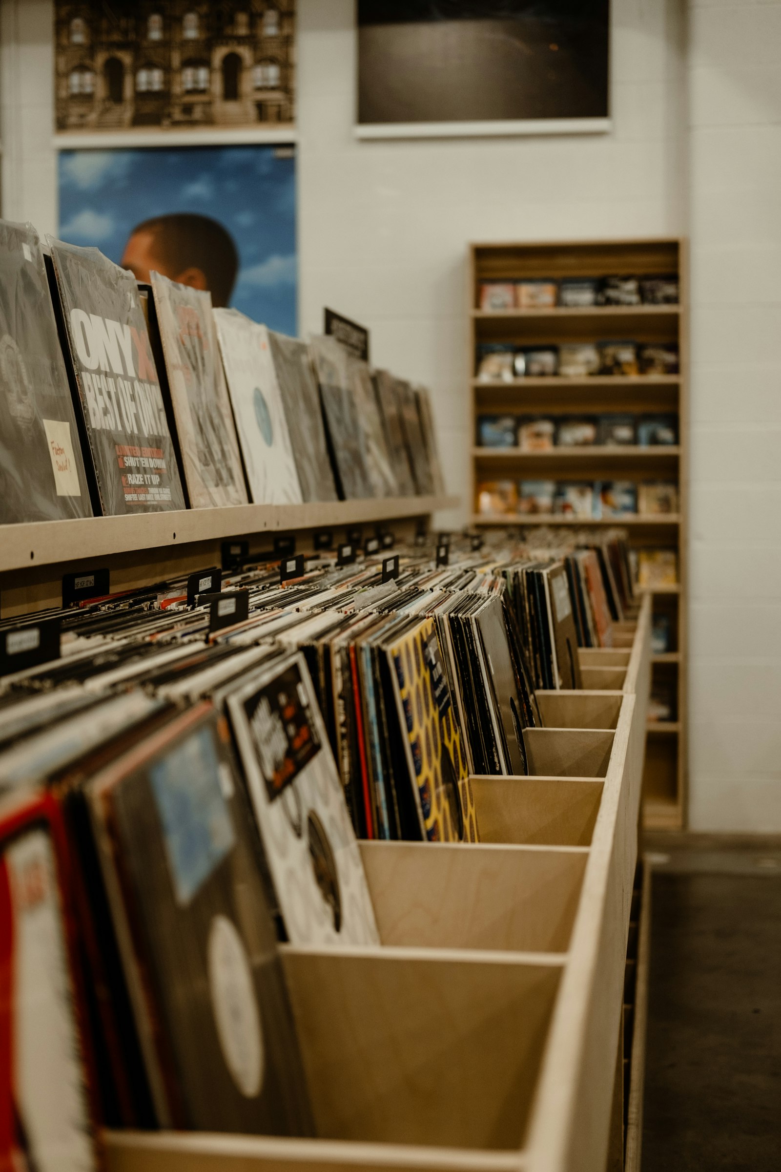 Crates of vinyl records lined up in rows in a record shop