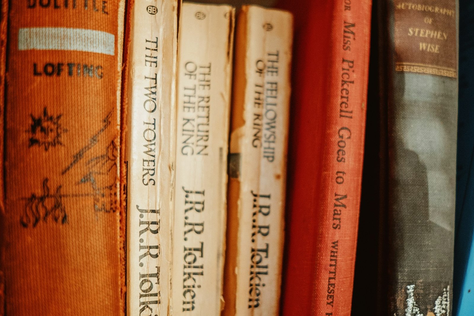 Cloth and paper book spines standing together on a dark wooden shelf
