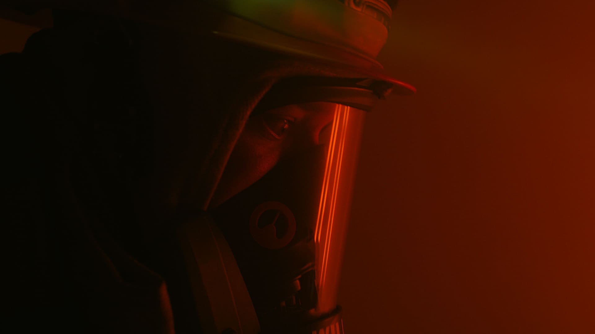 Seek Thermal Director's Cut