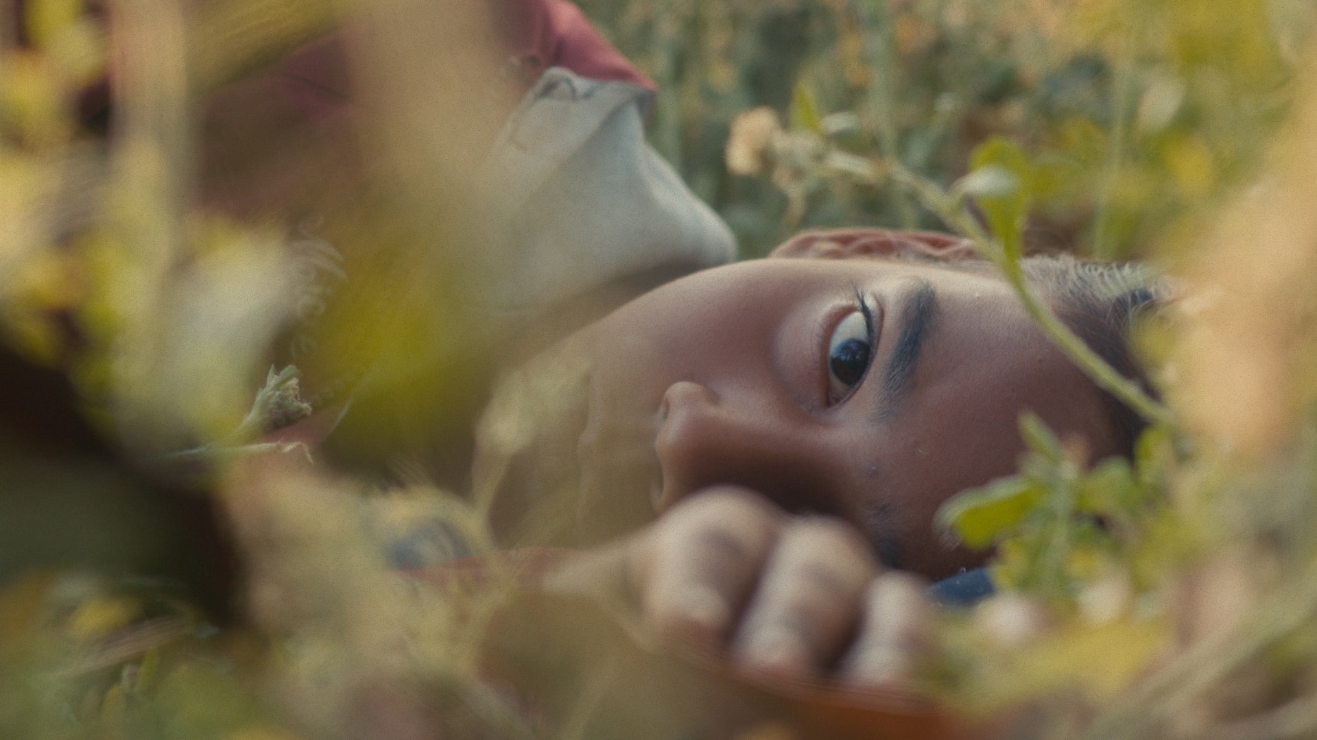 Humans in the Loop | Feature Film 