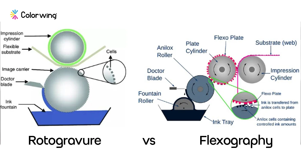 rotogravure vs flexo