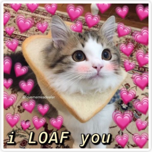 LoveCats