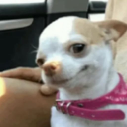 Dagidogi