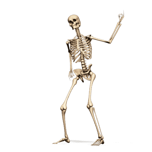 Skeleton Dance