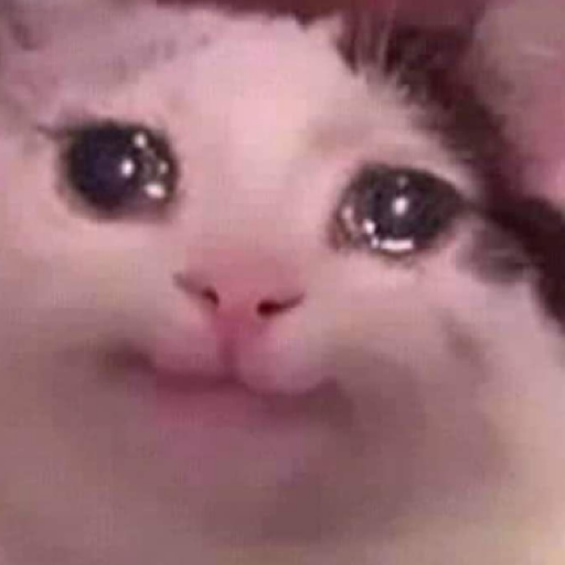 Sad caties