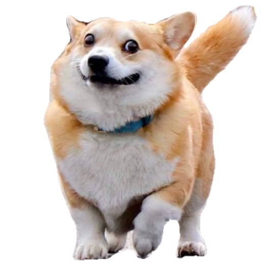 Corgi