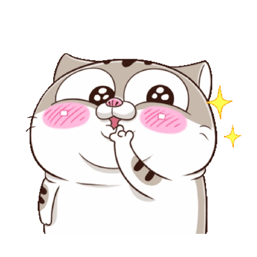 cile - cat
