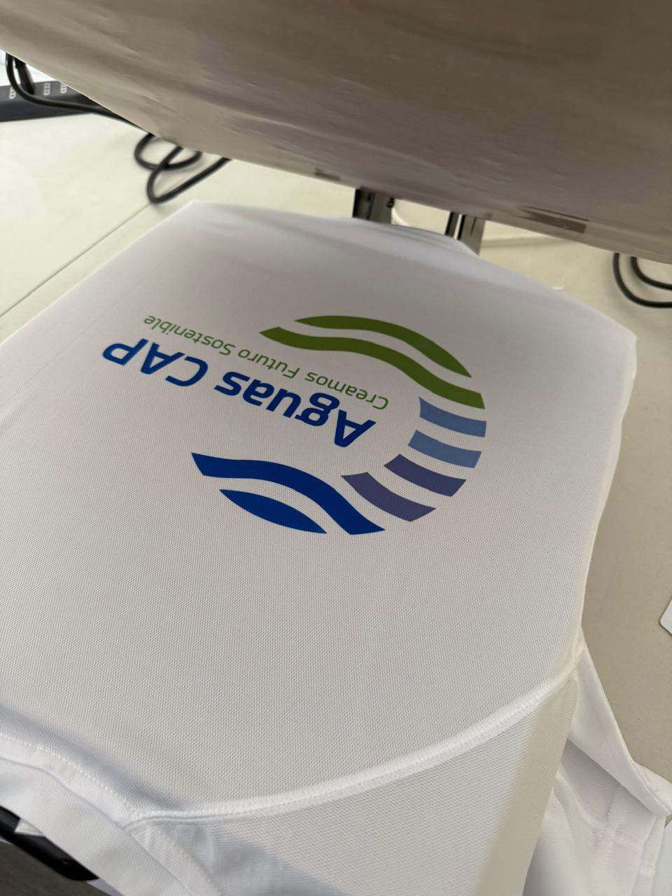 Polera dryfit