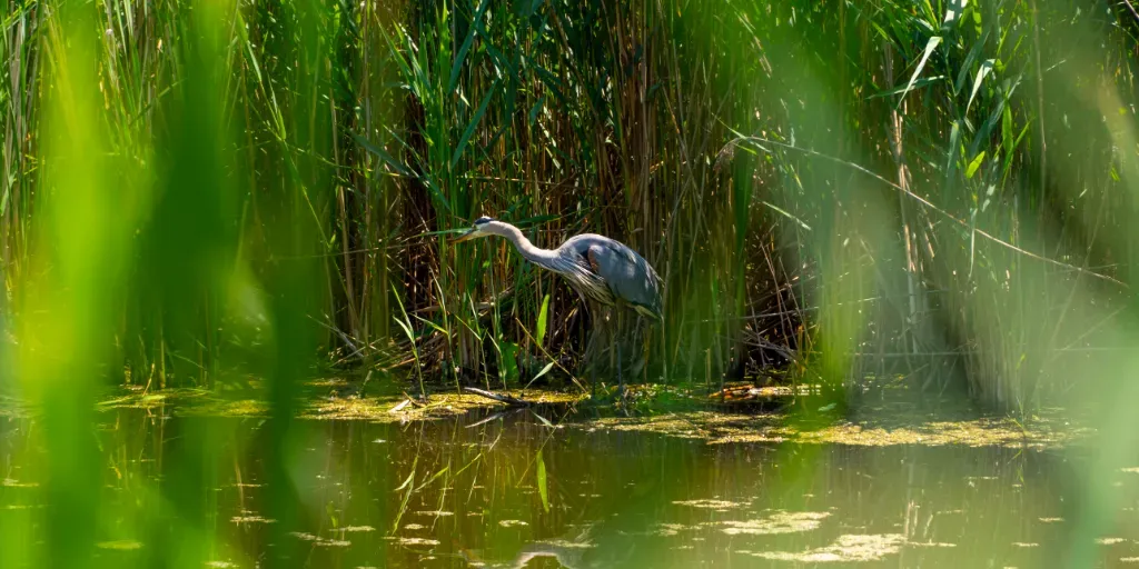 Brick Works Watershed Walk & Info Booth