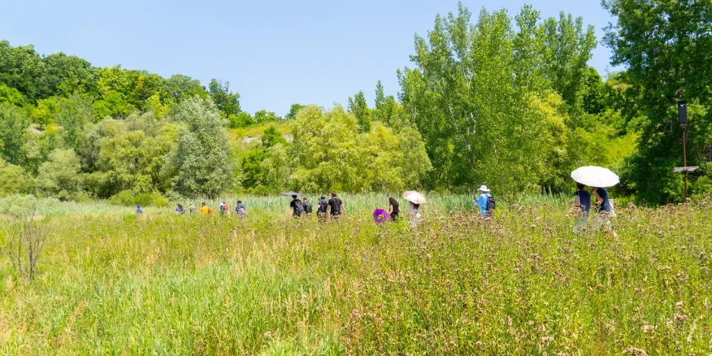 Brick Works Watershed Walk & Info Booth