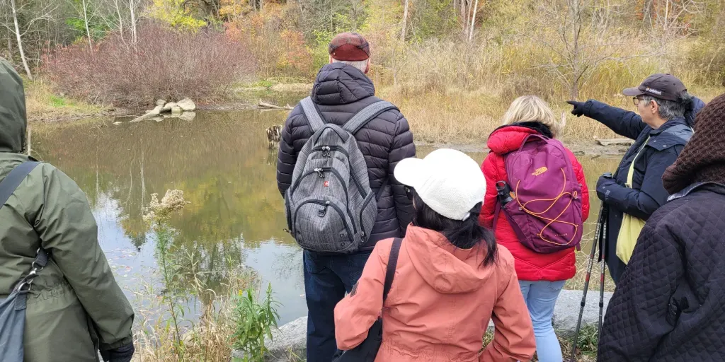 Watershed Walk for Families