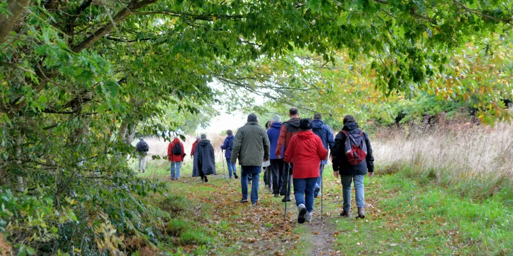 Watershed Walk for Adults