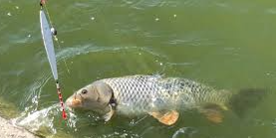 A nice wild fishing trip